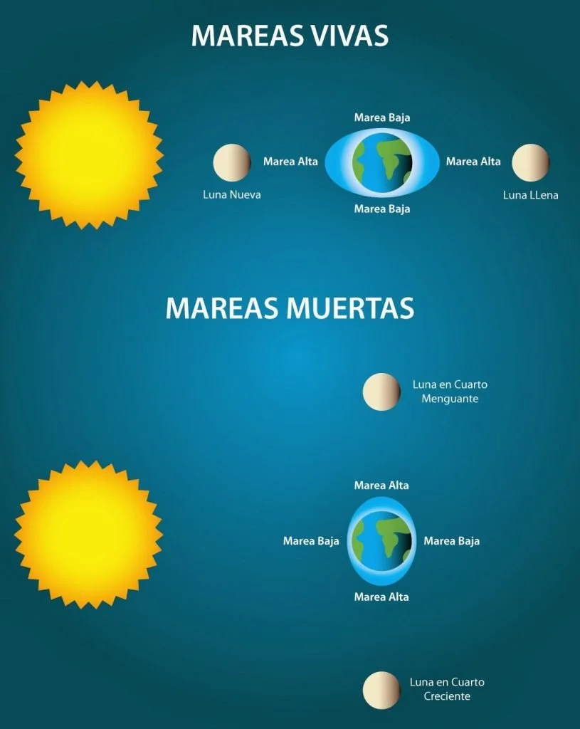 Las Mareas ¿Qué son y cómo se Producen 5