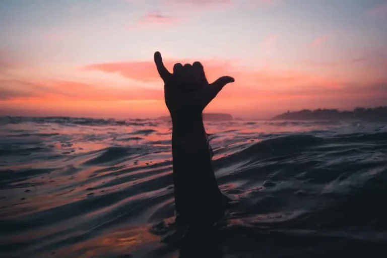 ¿Qué es el Shaka? – Orígenes y Significados