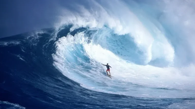 What is the Swell and How does it Affect Surfers?